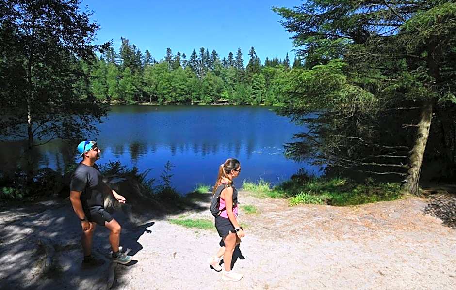 Logis Hotel des Lacs