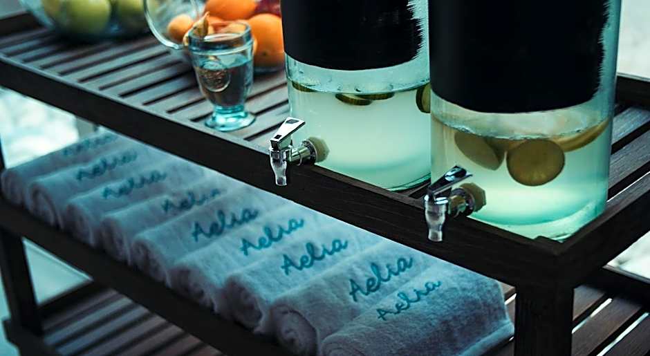 Aelia Wellness Retreat