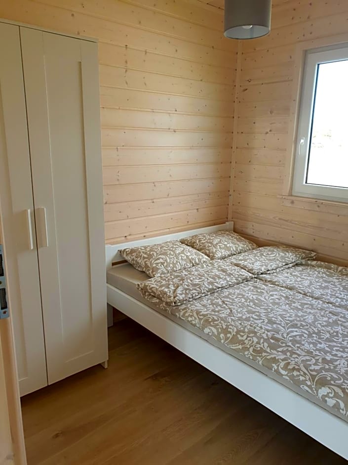 Szara Gąska w Gąskach