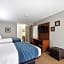 Comfort Inn & Suites St. Louis-Hazelwood