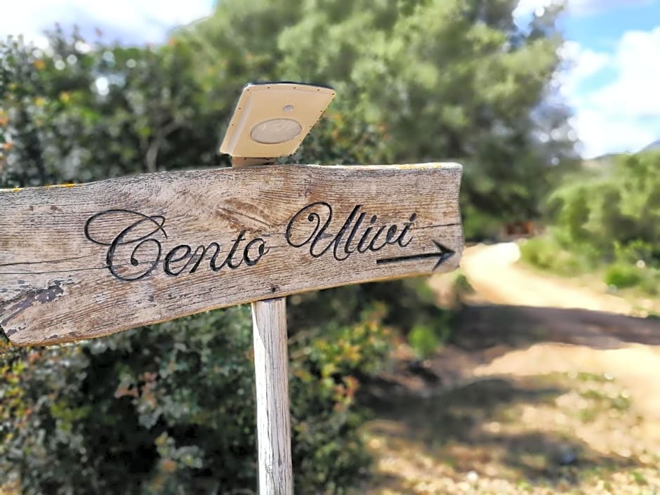 Cento Ulivi B&B