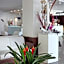 Hotel Bel Air