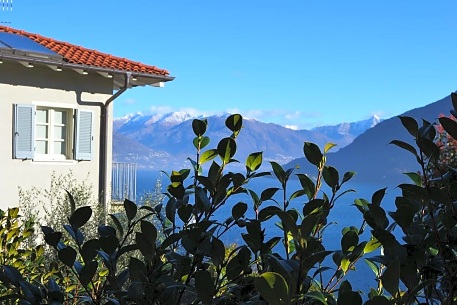 Solivonatural Apartment