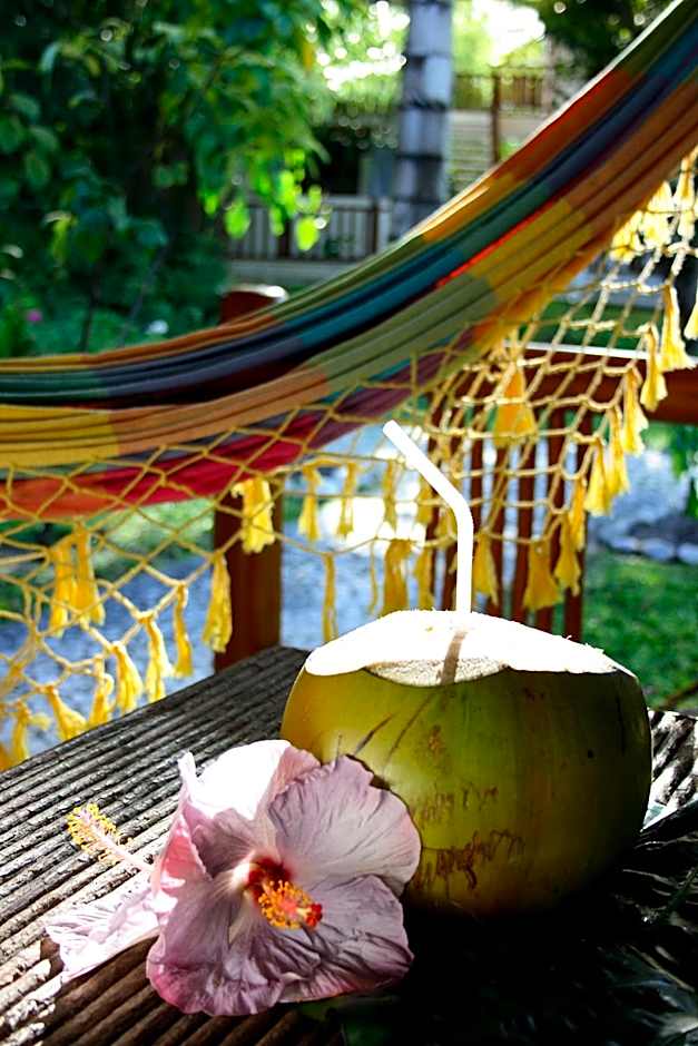 Manacá Pousada Parque