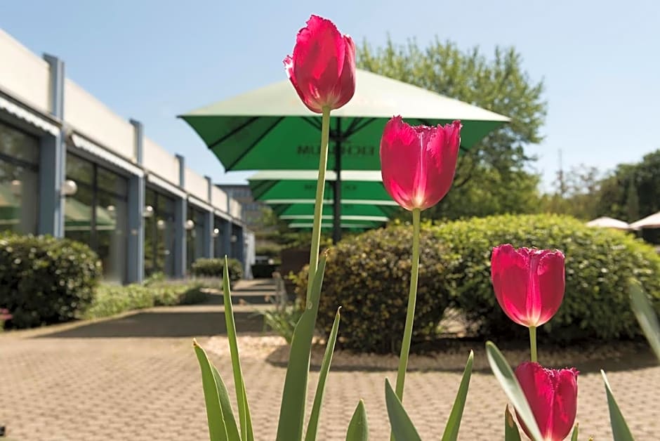 Mercure Hotel Mannheim am Friedensplatz