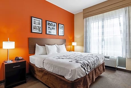 1 King Bed, Nonsmoking, Accessible