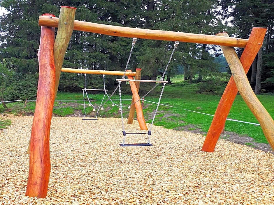 Die Filzmooserin - smart living apartments in Filzmoos, Filzmoos Card inklusive