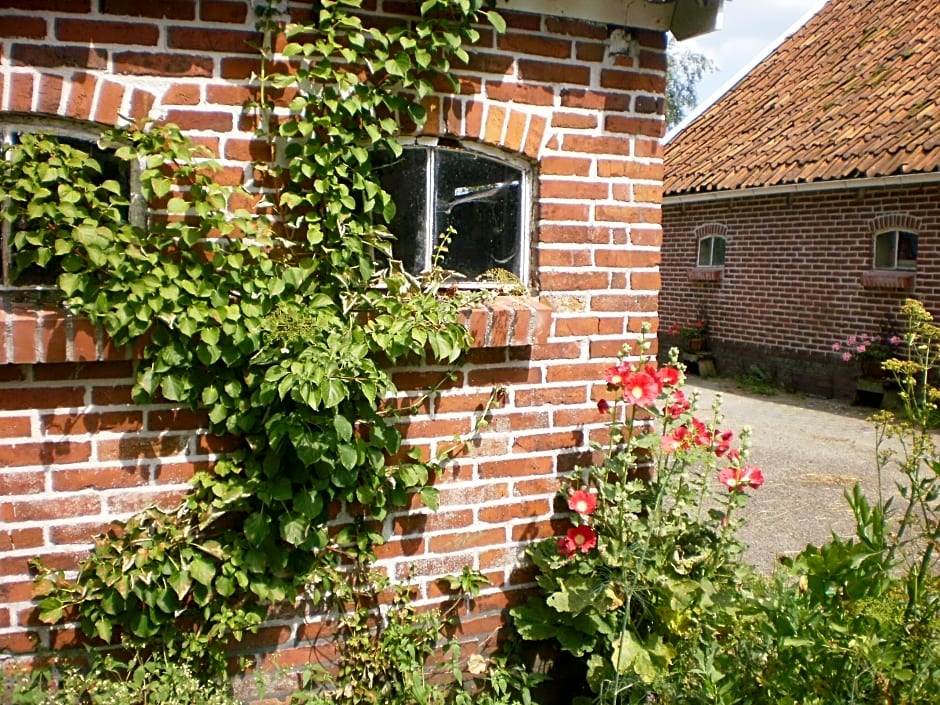 Pipowagen Lidewei Groningen Westerwolde unieke ligging met eigen tuin en vrij uitzicht over veld naar natuurgebied