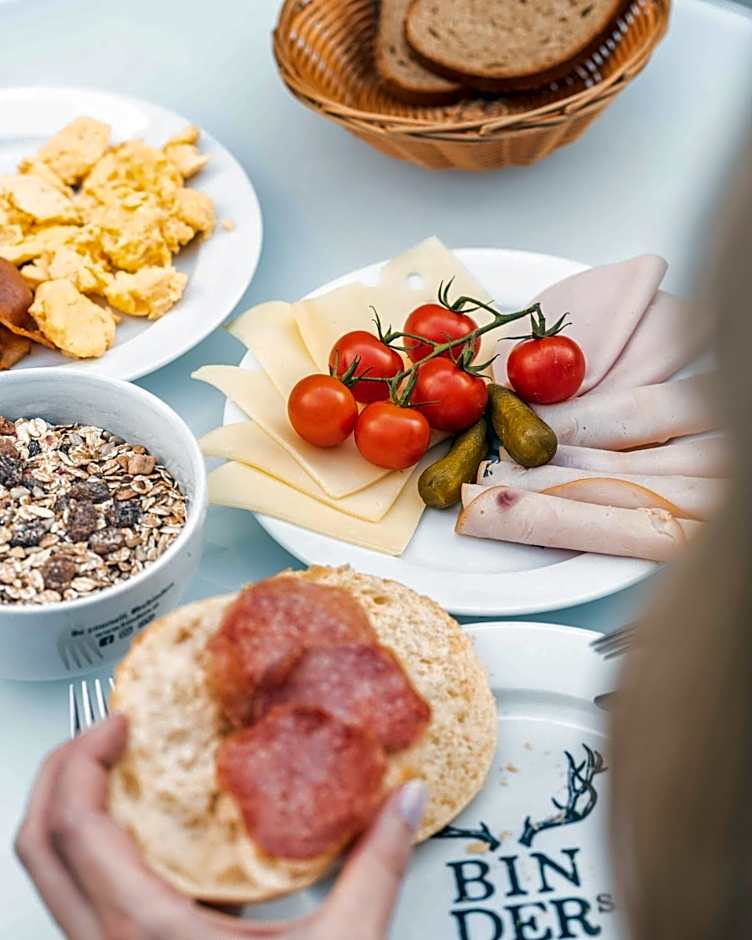 BinderS Budget City-Mountain Hotel