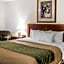 Comfort Inn Manistique