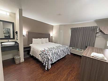 Deluxe Room with One Queen Bed Disability Access Roll-In Shower Non-Smoking