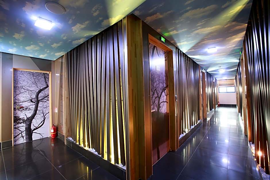 Hotel Picasso