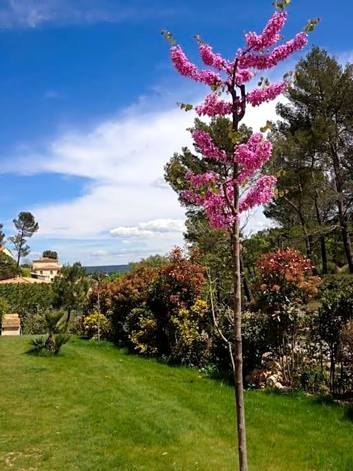 Bulle de tendresse en Provence - Parking Piscine & Jaccuzzi - Peypin