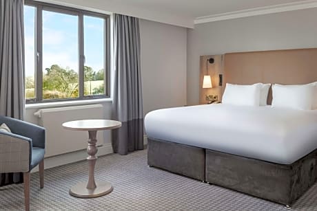 Suite Queen Size Bed