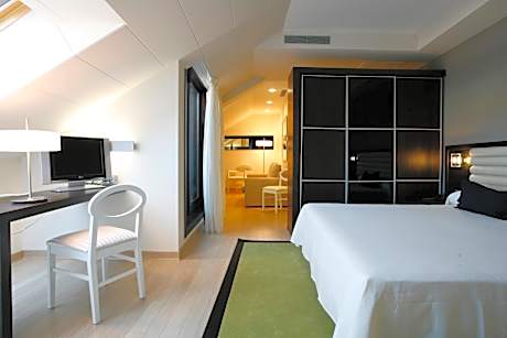 Premium King Room without spa access