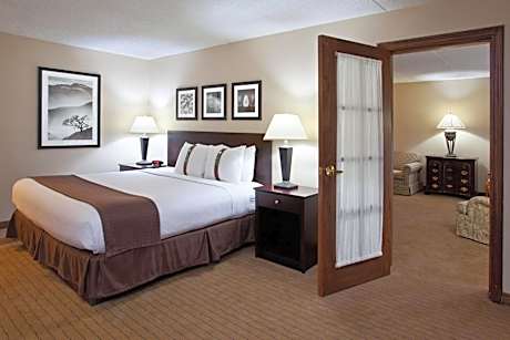 1 King Bed 1 Bedroom Suite Sofa Bed