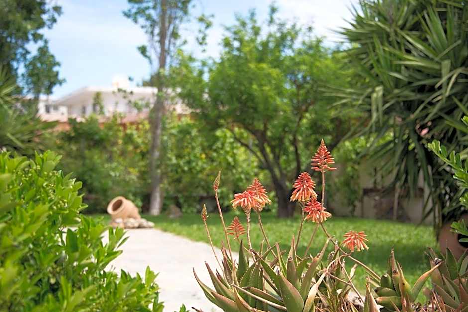 Kolevri Studios - 650m from Laganas Center, by ZanteWize