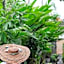 Kamini Legian Hotel