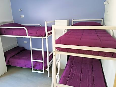 Bed in 4-Bed Mixed Dormitory Room