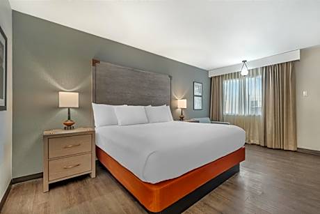 King Room - Pet-Friendly