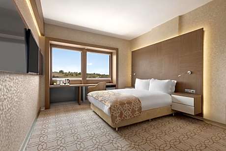 Deluxe Queen Room - Smoking