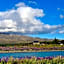 Stay In Tekapo Backpackers