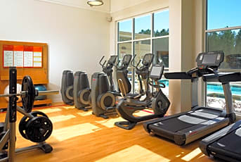 Four Points by Sheraton Houston West