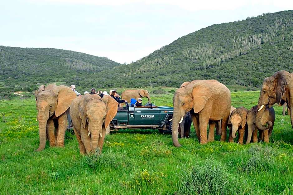 Kariega Game Reserve Ukhozi Lodge