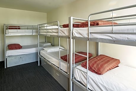 Bed in 8-Bed Mixed Dormitory Room with Private Bathroom