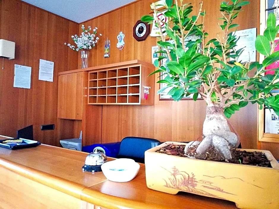 Central Room Fortuna