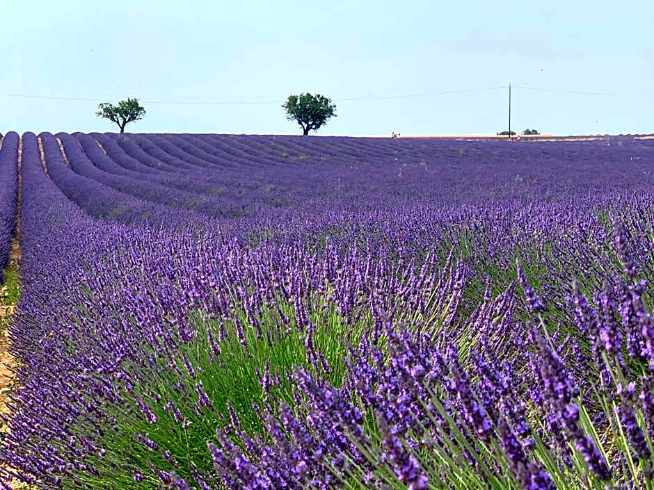 Studios Nuitée en Provence