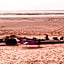 PARAISO DAKHLA