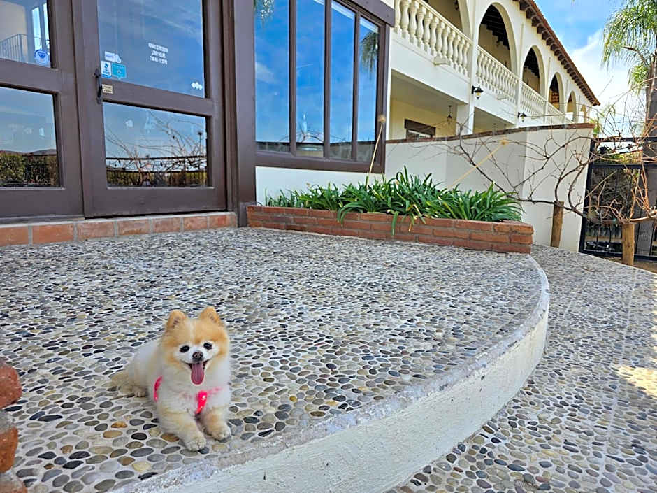 Hacienda Guadalupe Hotel