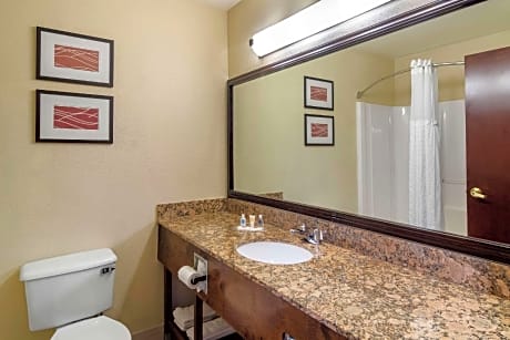 King Suite - Non-Smoking