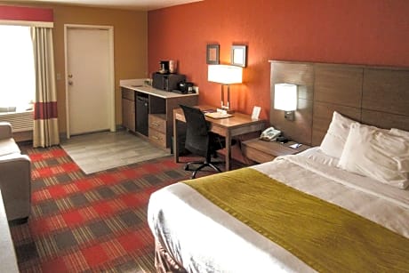 1 King Bed, Suite, Nonsmoking