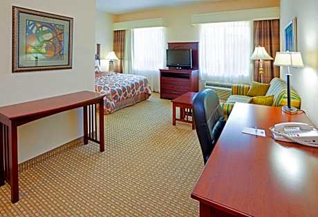 Studio Suite 1 Queen Bed Smoking
