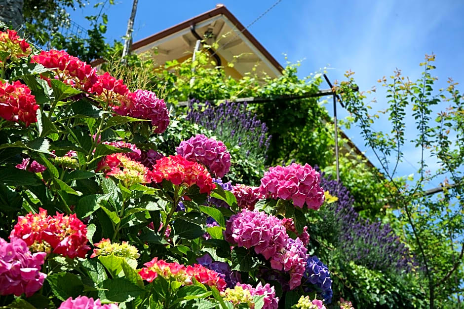 B&B Antiche Pietre – Bollengo, NY