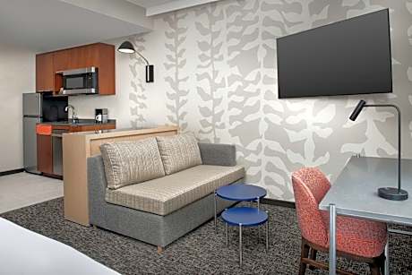 Studio, 1 King, Sofa bed, City view