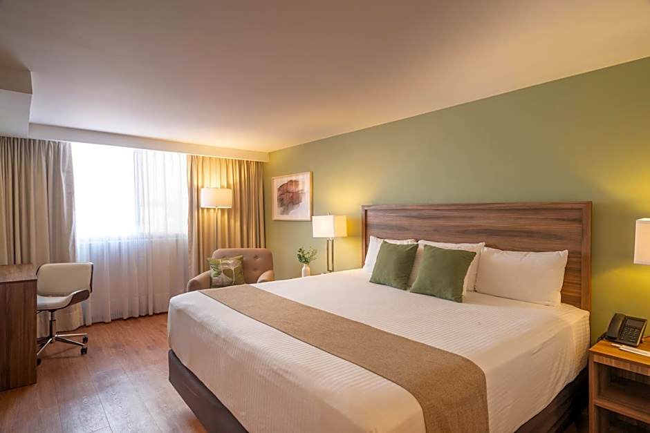 Stanza Hotel