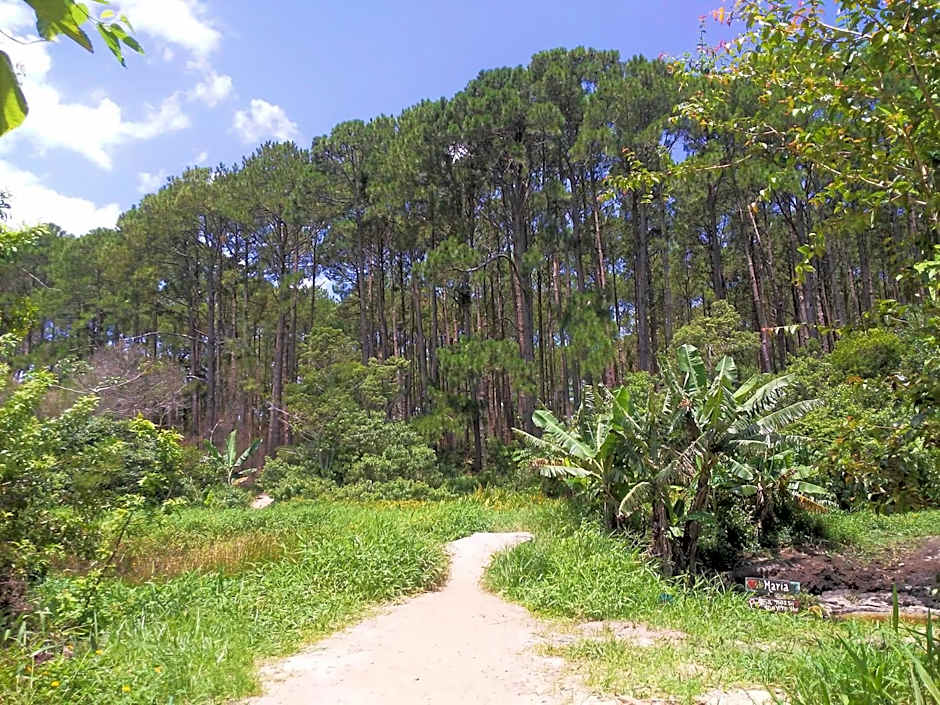 Moçamba LODGE Contêiner