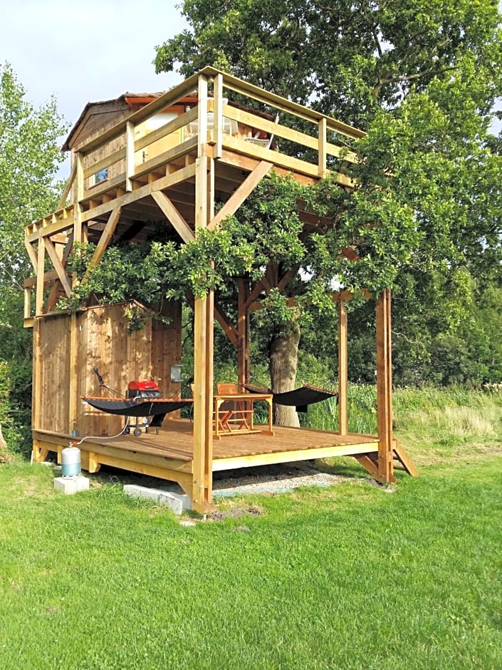 Cabane Perchée dans la prairie de l'ancien moulin