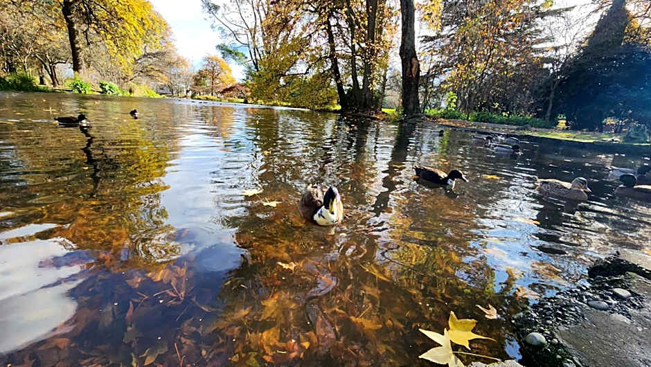 Ashburton's Regency Motel