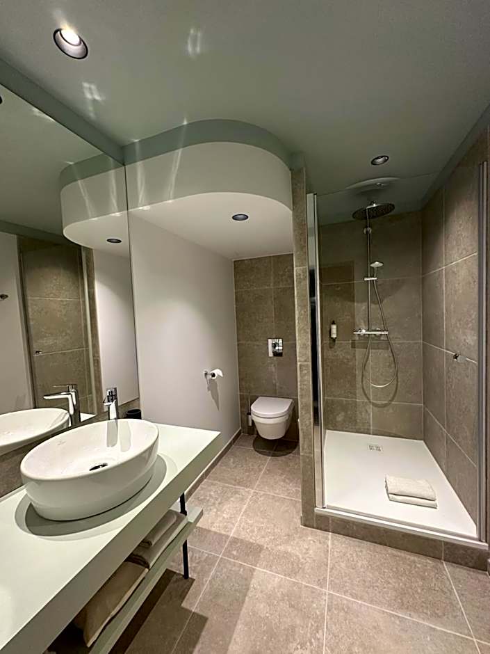 Logis Hotel Darcy Dijon Centre