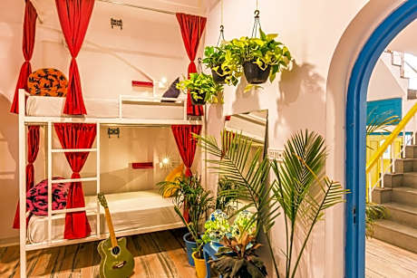 Bed in 6 Bed Female Only AC Dormitory Room with Ensuite Bathroom