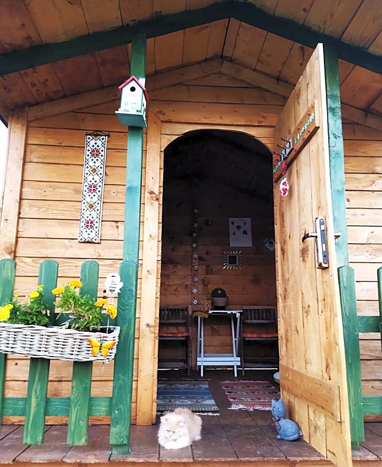 Pokoje goscinne u Olguni