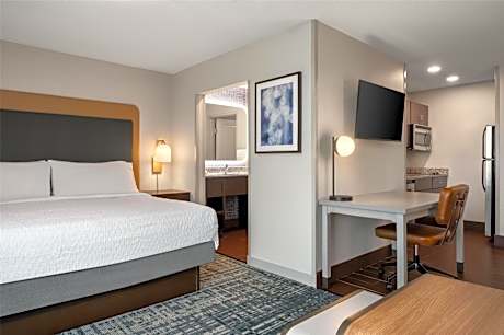 1 King Bed Studio Suite Nonsmoking