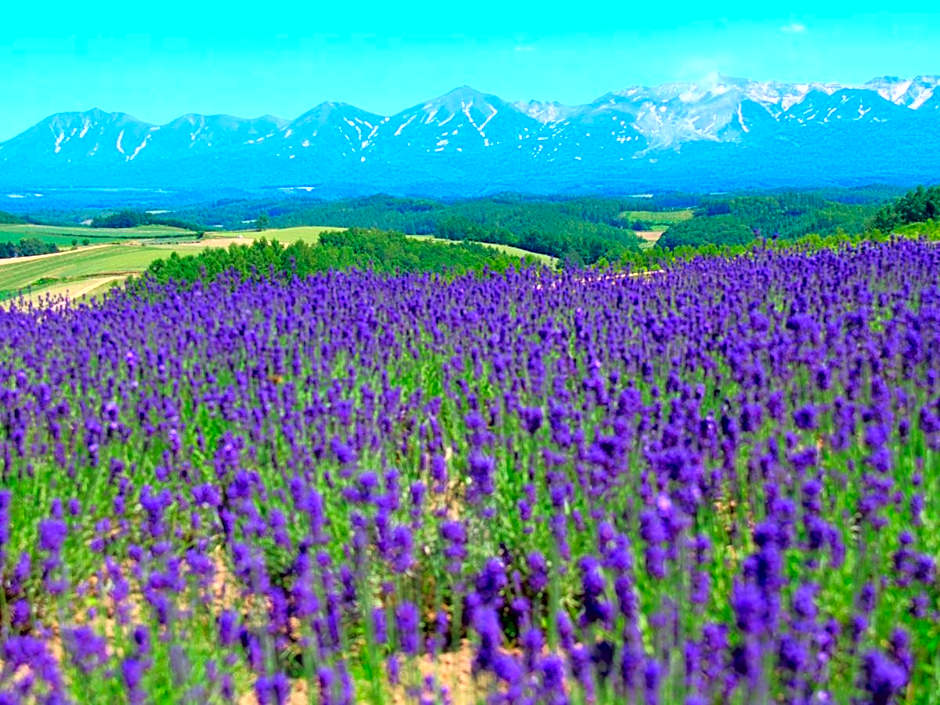 Pension Landscape Furano