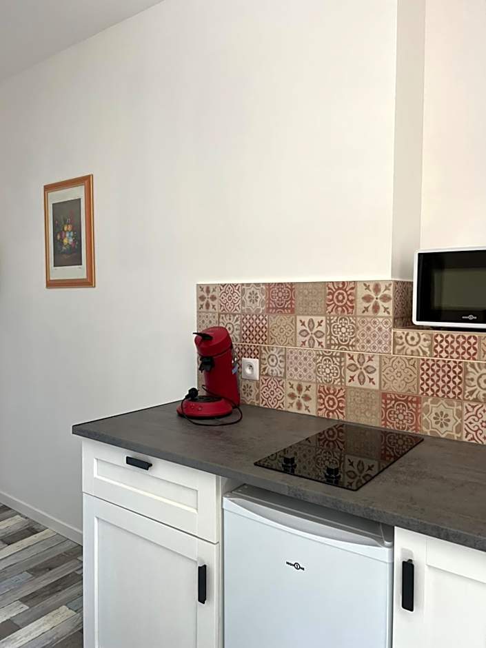 THEIA - Limoges Centre