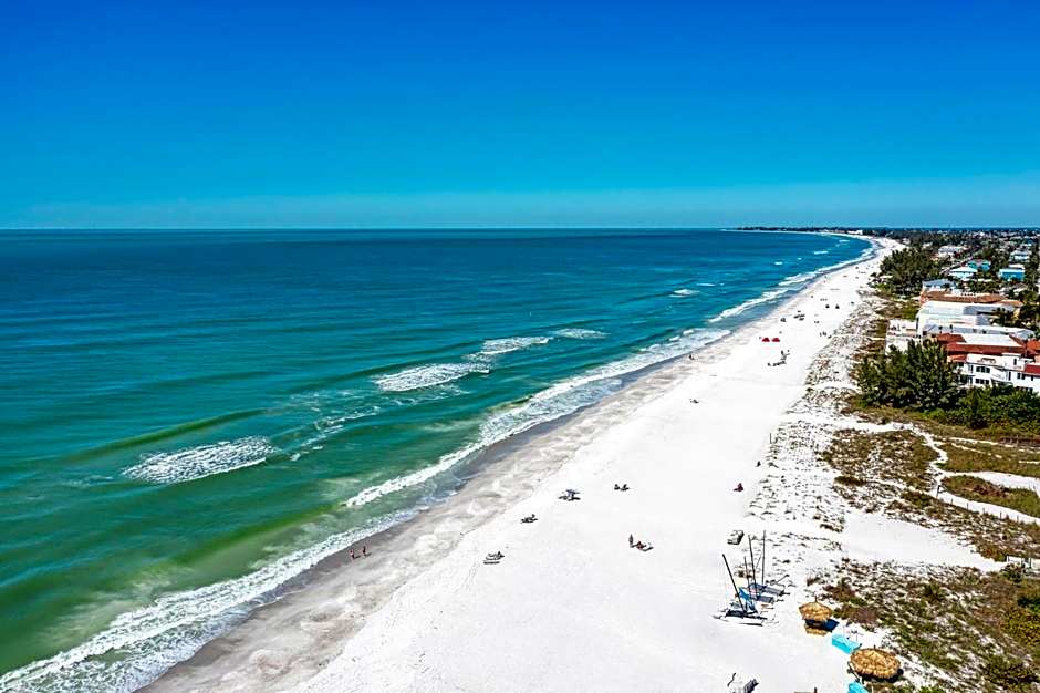 Anna Maria Island Beach Palms 5B