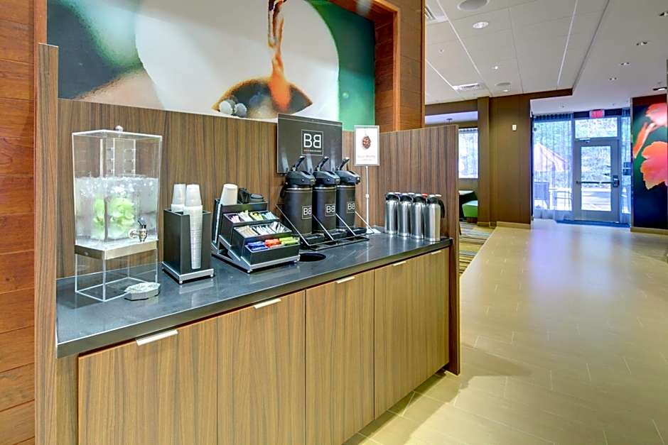 Fairfield Inn & Suites by Marriott Asheville Tunnel Road